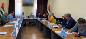 В Общественной палате состоялась встреча с представителями "АНД"